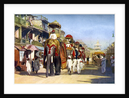 Gaekwar's state elephants, Manipuri Bazaar, Bombay, India by Anonymous