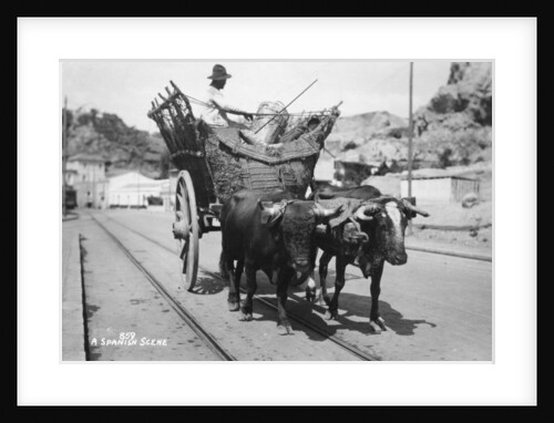 A Spanish scene by Anonymous