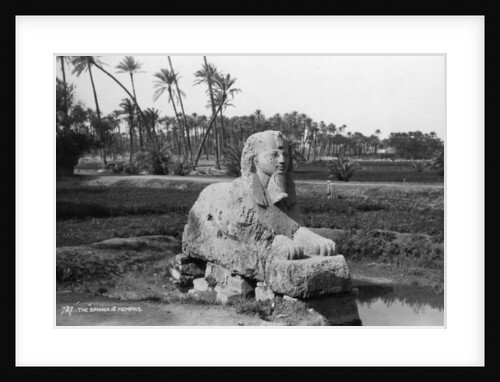 Alabaster Sphinx at Memphis, Egypt by Anonymous