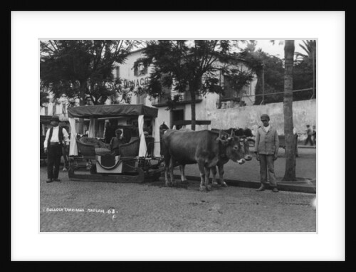 Bullock carriage, Madeira, Portugal by Anonymous
