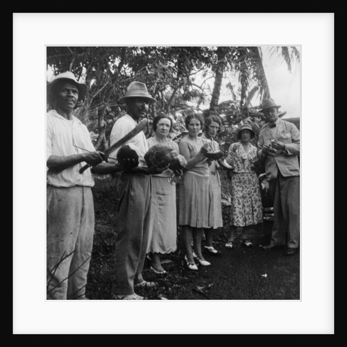 Tourists during a halt by the wayside, St Vincent by Anonymous