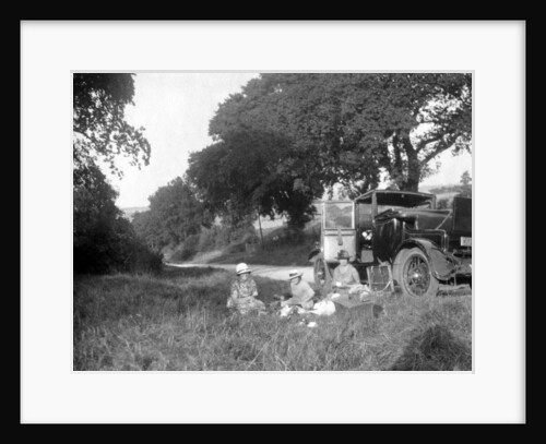 Roadside picnic by Anonymous