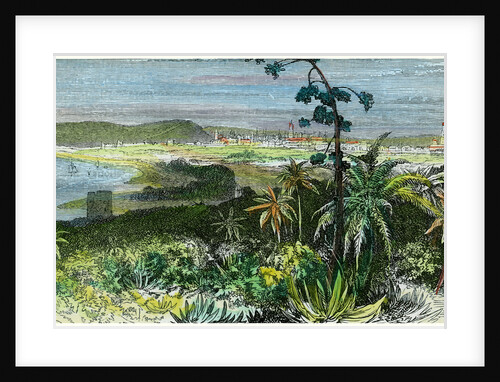 Havana, Cuba by Anonymous