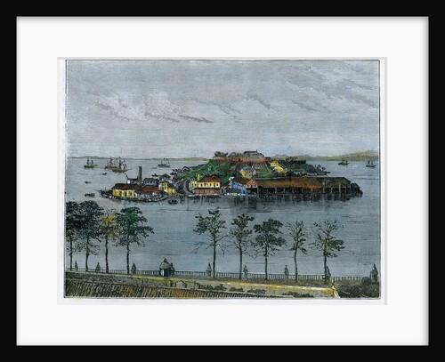View of The isle of Serpents, in the Bay of Rio de Janeiro by Anonymous