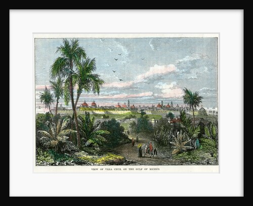View of Vera Cruz, on the Gulf of Mexico' by Anonymous