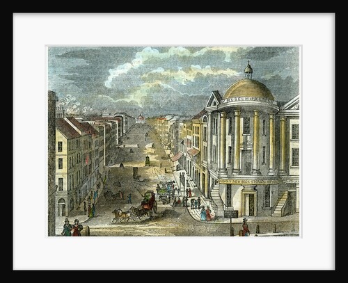 State Street, Albany, New York, USA by Anonymous