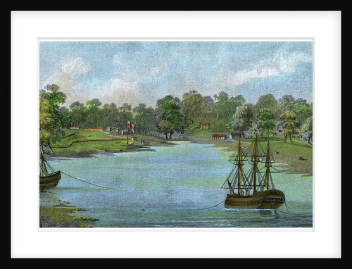 Sydney Cove, New South Wales, Australia by Anonymous