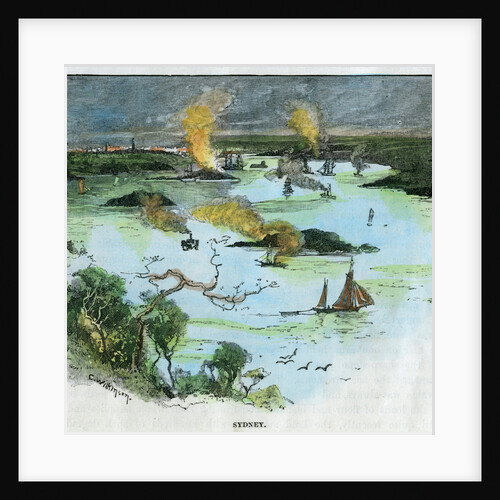 Sydney, New South Wales, Australia by C Wilkinson