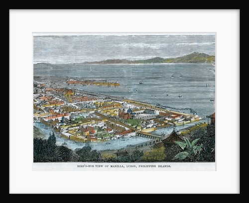 Bird's eye view of Manilla, Luzon, Philippine Islands by Anonymous