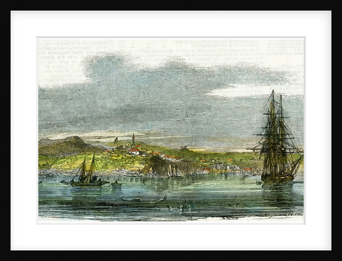 Auckland, New Zealand by Anonymous