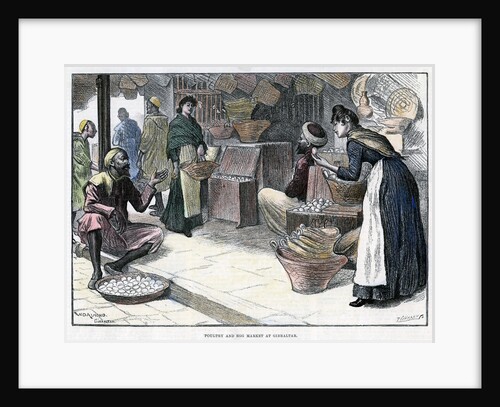 Poultry and egg market in Gibraltar by P Naumann
