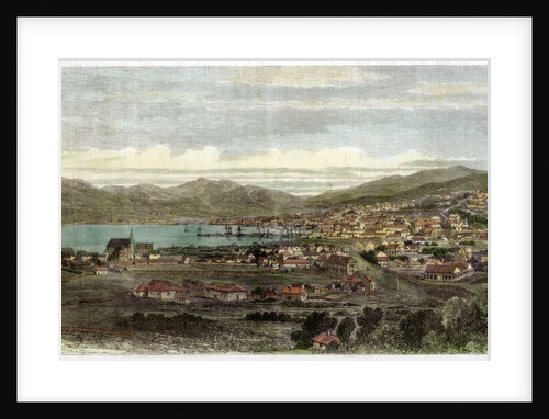 The town and port of Wellington, capital of New Zealand by Anonymous