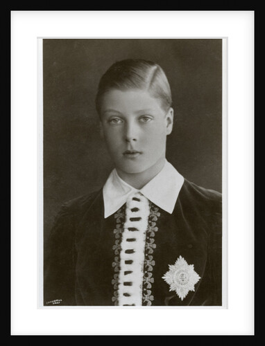 The Prince of Wales in his investiture robes by Campbell Gray
