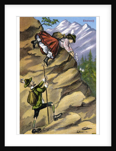 Edelweiss by Anonymous