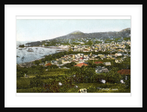 Funchal, Madeira by Anonymous