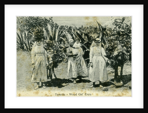 Wood gatherers, Tenerife, Canary Islands by Anonymous