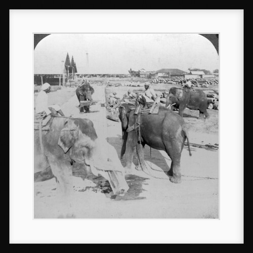 Elephants working in a timber yard, India by Underwood & Underwood