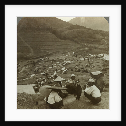 Dredging a river bed for rubies, Mogok, Burma by Underwood & Underwood