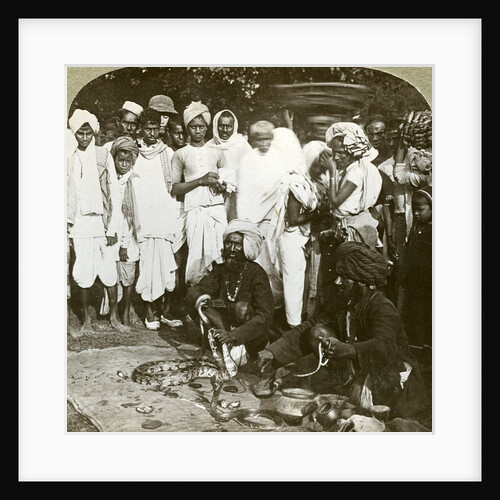 Snake charmer, Calcutta, India by Underwood & Underwood
