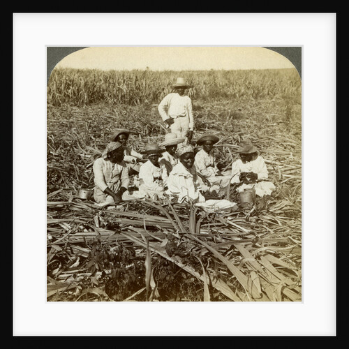 On 'La Union' sugar plantation, San Luis, Santiago Province, Cuba by Underwood & Underwood