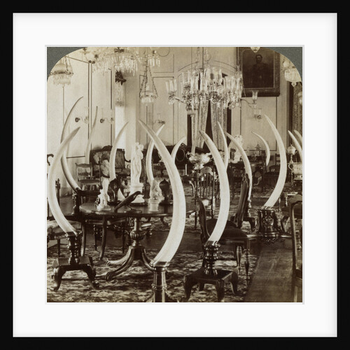 'Hall of Tusks,' in the home of Lady de Soysa, Bambalapitiya, Colombo, Ceylon by Underwood & Underwood