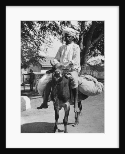 The laundry man, India by Cavanders Ltd