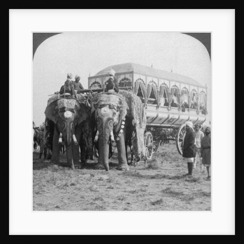 Richly adorned elephants and carriage of the Maharaja of Rewa at the Delhi Durbar, India by Underwood & Underwood