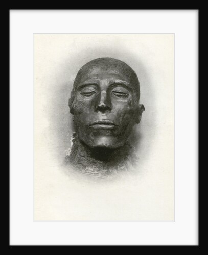 Head of the mummy of Sety I, Ancient Egyptian pharaoh of the 19th Dynasty by Winifred Mabel Brunton