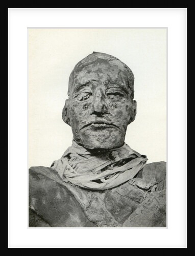 Head of the mummy of Rameses III, Ancient Egyptian pharaoh of the 20th Dynasty by Winifred Mabel Brunton