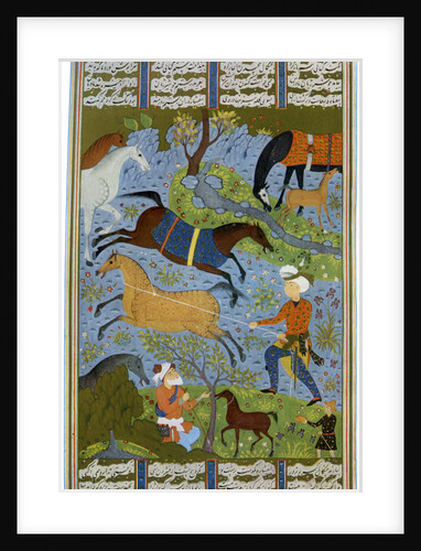 Mares and foals, Persia by Anonymous