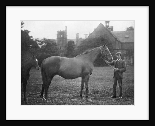 St Marguerite, British racehorse by Anonymous