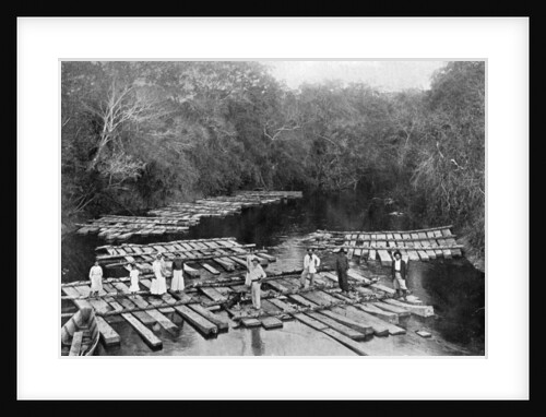 Rafts on the Tebicuary-mi River, Paraguay by Anonymous