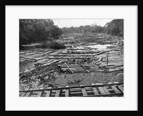 Cedar logs on the Tebicuary-Guazu River floating by the railway bridge, Paraguay by Anonymous