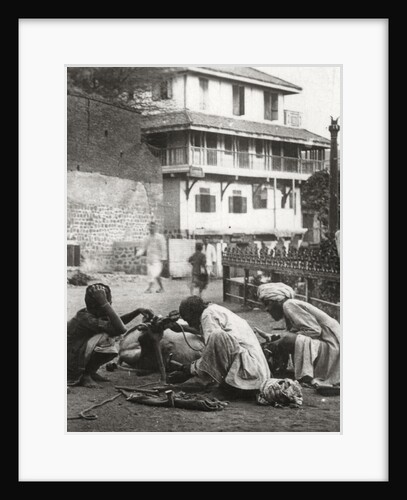 Shoeing a bullock, India by Anonymous