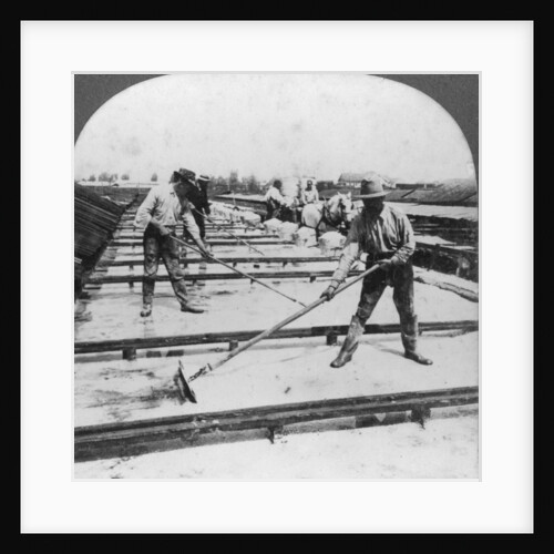 Solar evaporation, salt manufacture, Syracuse, New York, USA by Keystone View Company