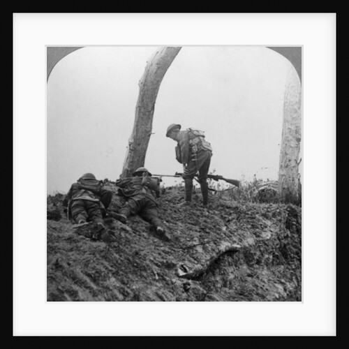 Battle of Polygon Wood, near Ypres, Flanders, Belgium, World War I, September 1917 by Realistic Travels Publishers