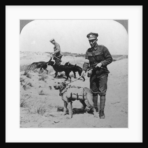 First aid dogs, World War I by Realistic Travels Publishers