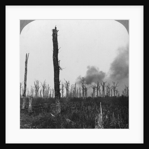 High explosive shells bursting in Mametz Wood, France, World War I by Realistic Travels Publishers