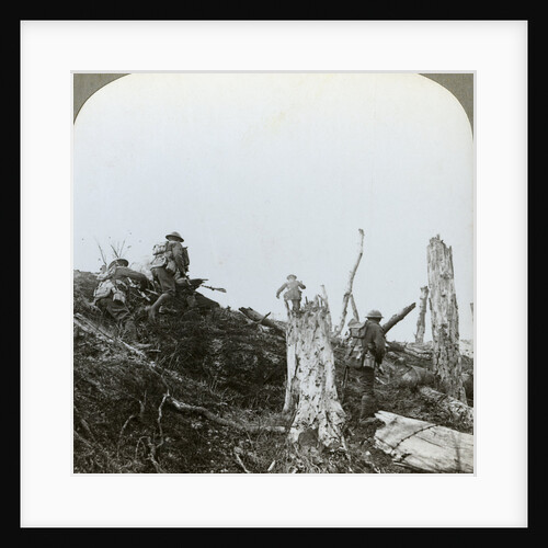 Assault in Trones Wood, Somme, France, World War I by Realistic Travels Publishers