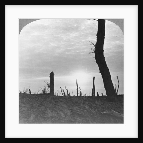 The Sun going down over 'no man's land' on the Somme, France, World War I by Realistic Travels Publishers