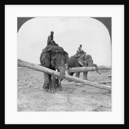 Elephants working in a lumber yard, Rangoon, Burma by Stereo Travel Co
