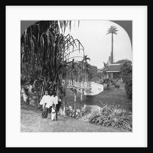 A peep into the tropical gardens of Rangoon, Burma by Stereo Travel Co