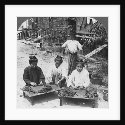Making the huge cigars smoked by women, Burma by Stereo Travel Co