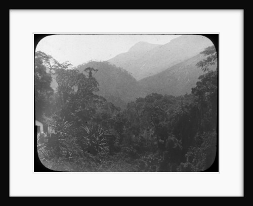 Near Petrópolis, Rio de Janeiro, Brazil by Anonymous