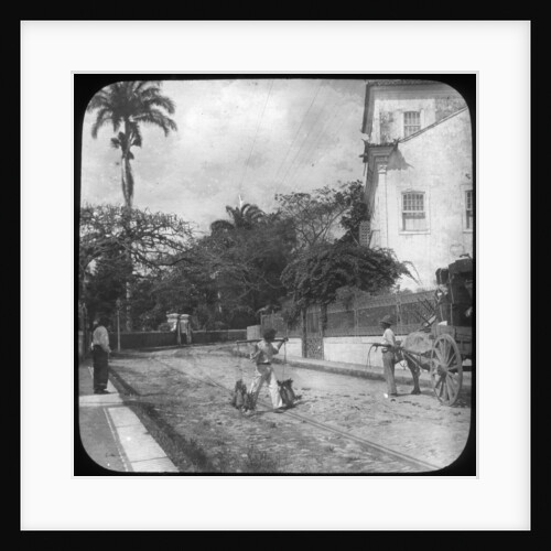 Street scene, Pernambuco, Brazil by Anonymous