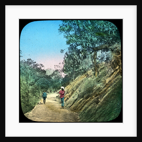 Scene on a road, Murree, India by Anonymous