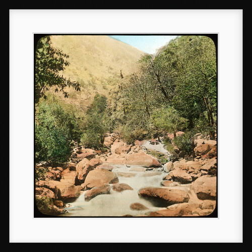 Sindh Valley, Kashmir, India by Anonymous