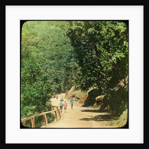 The Mall Road, Simla, India by Anonymous