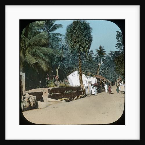 Road from Colombo to Galle, Colombo, Ceylon by Anonymous