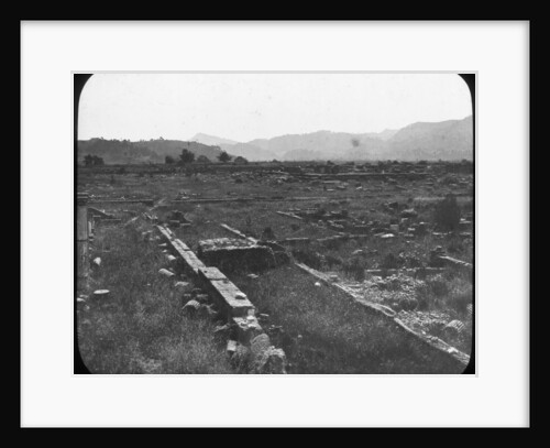 Olympia, Greece by Anonymous